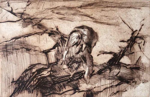 Boy On The Rocks limited edition etching by Nicola Simbari